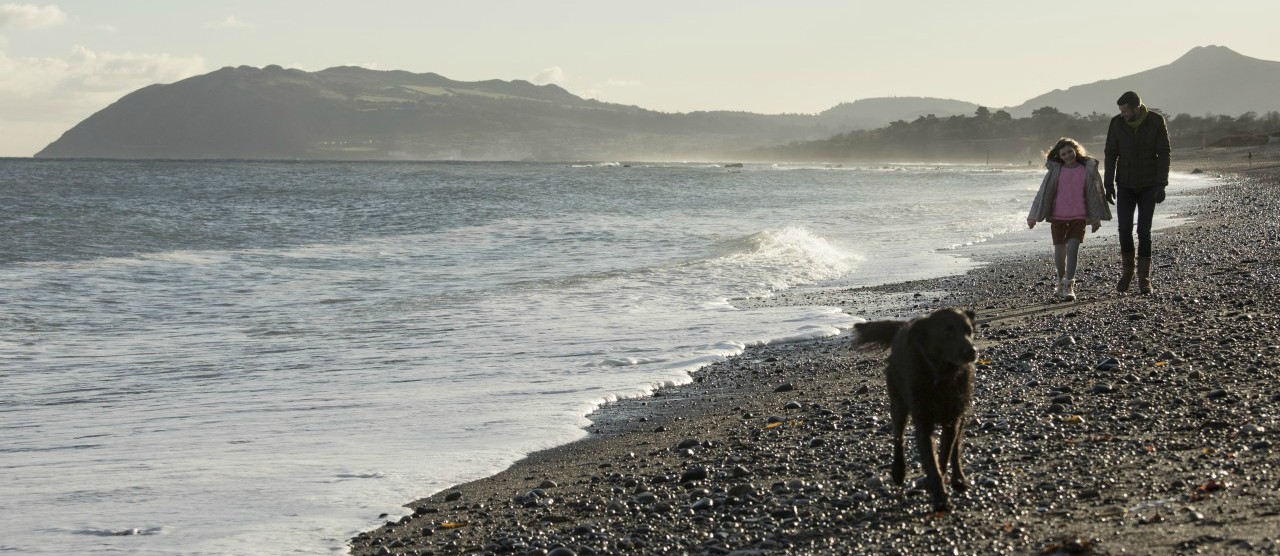 A father and daughter walking on a beach with a dog