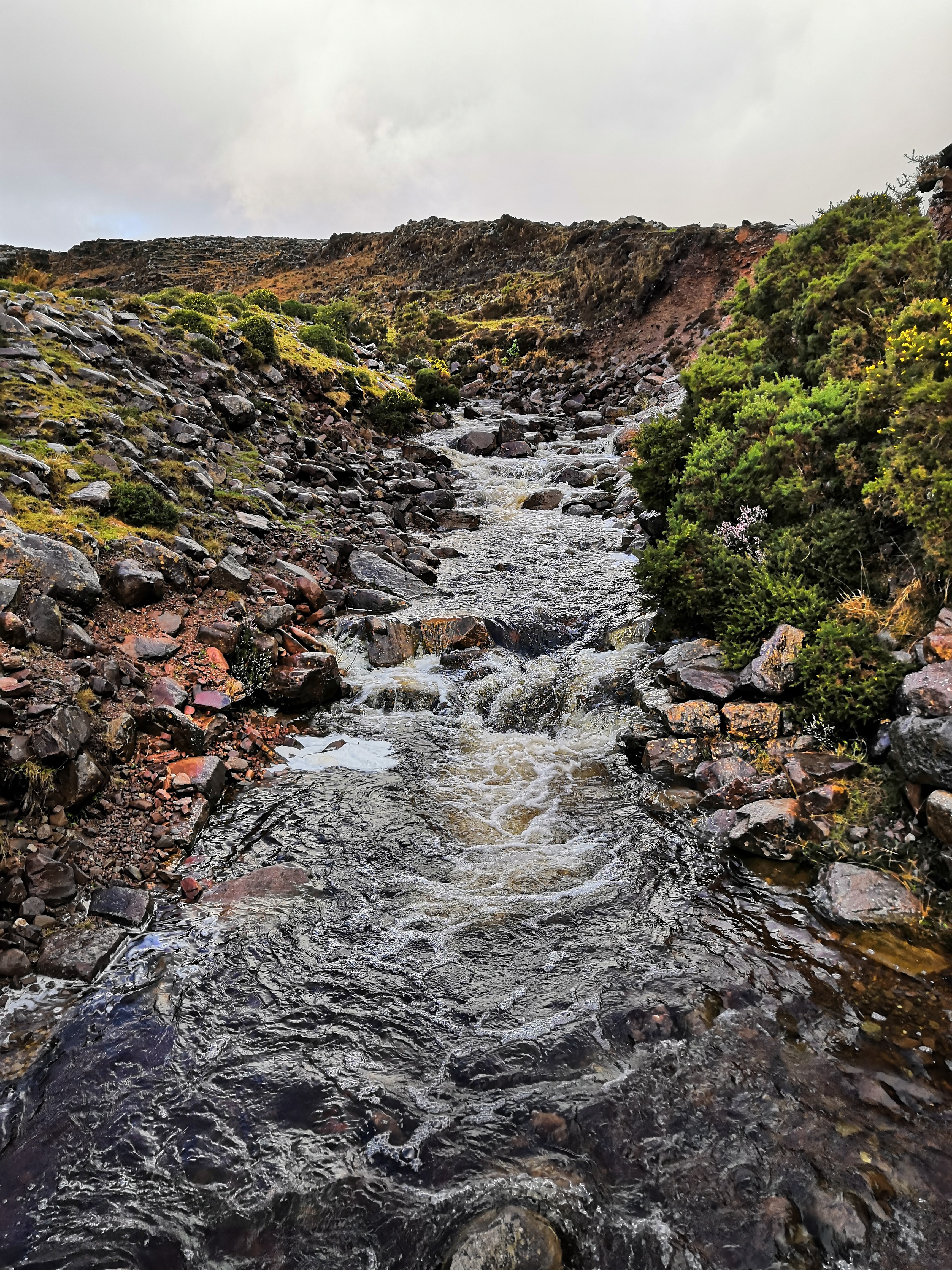 A rocky stream