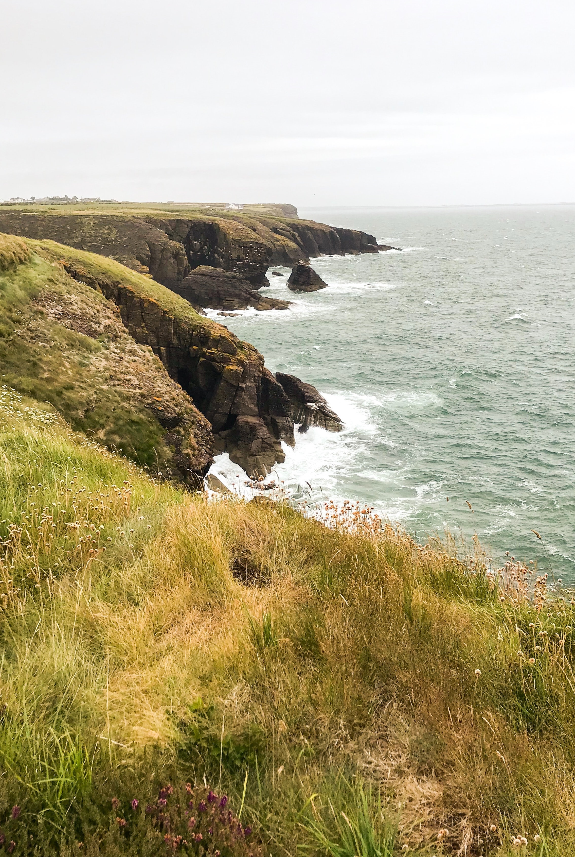 Grassy coastline with small village in the distance