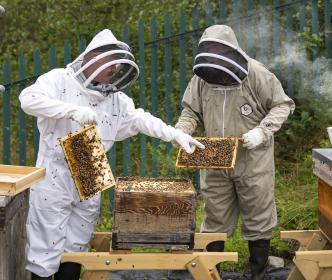 Two beekeepers holding beehives